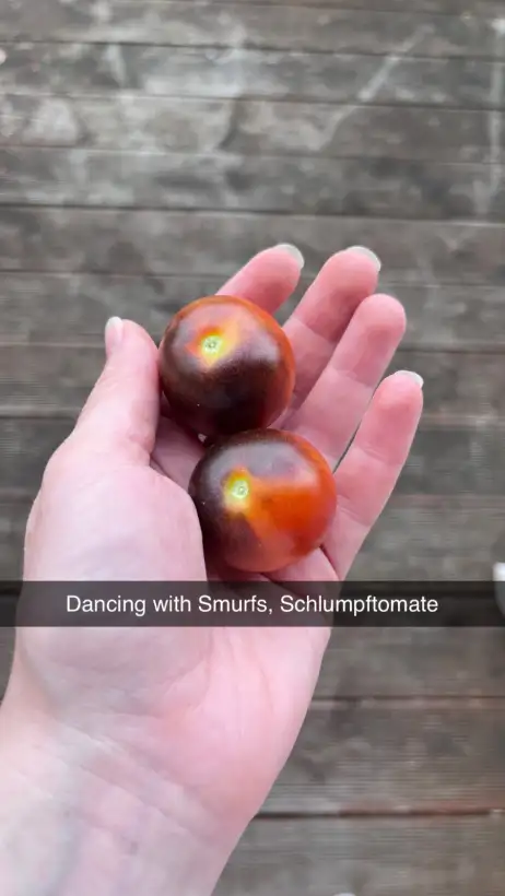 Tomaten: Dancing with Smurfs