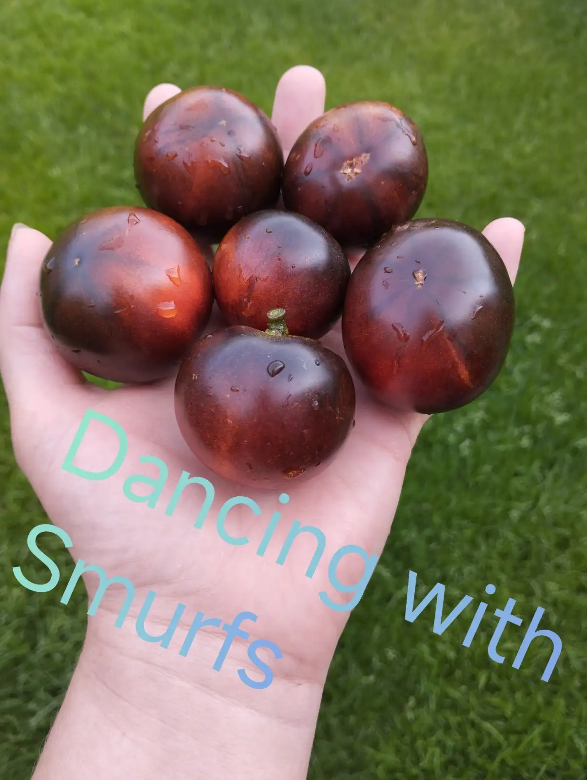 Tomaten: Dancing with Smurfs