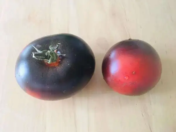 Tomaten: Dancing with smurfs