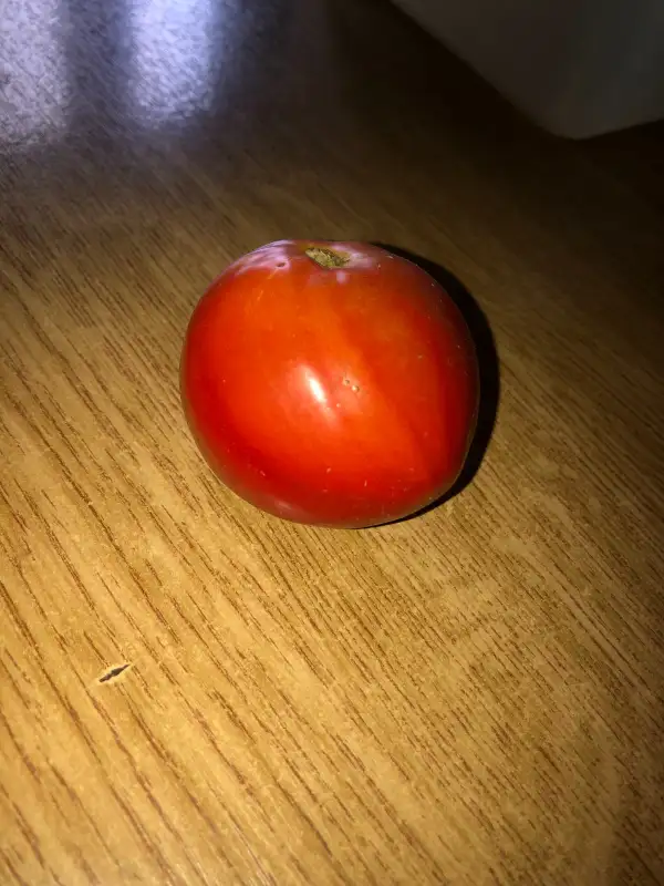 Tomaten: Danko