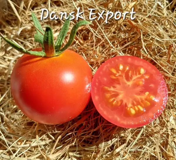 Tomaten: Dansk Export