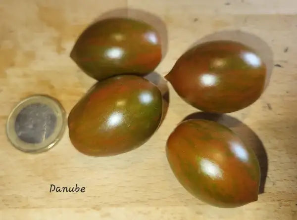 Tomaten: Danube