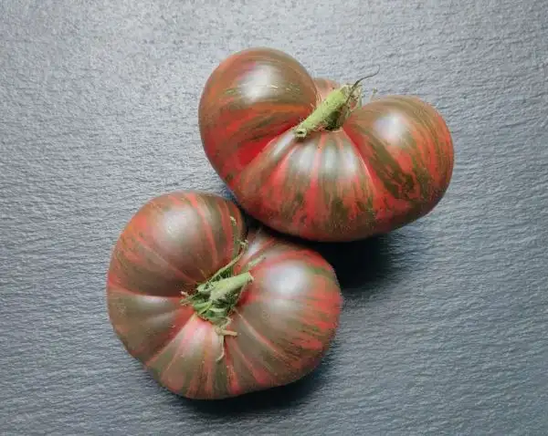 Tomaten: Dark Copia Heart