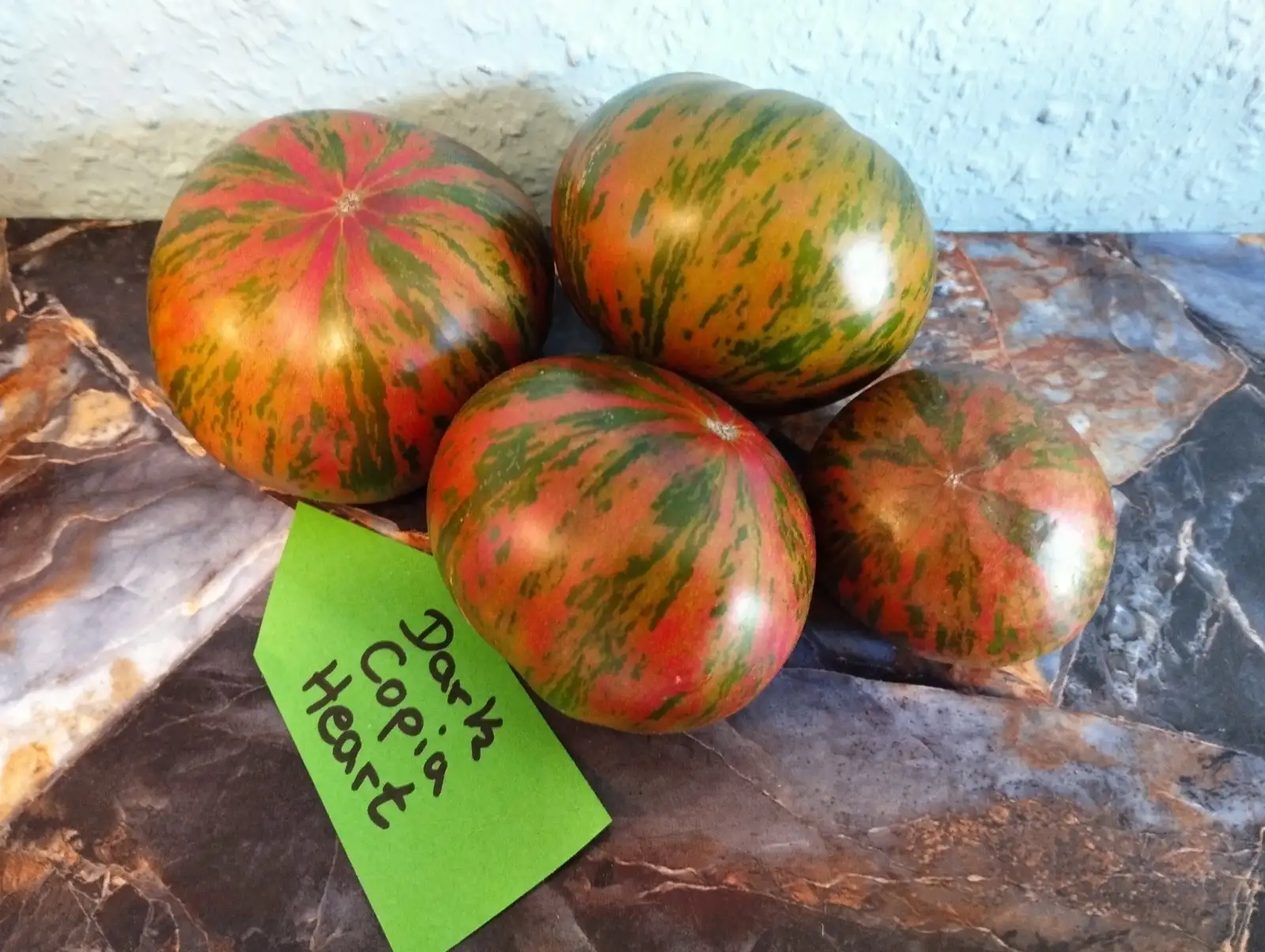 Tomaten: Dark Copia Heart