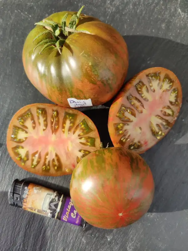 Tomaten: Dark Copla Heart