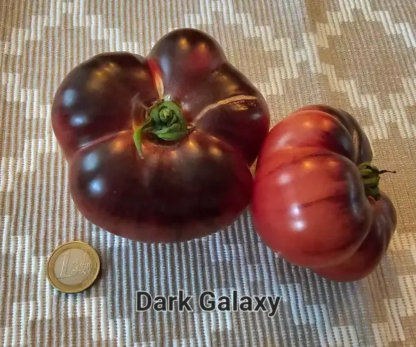 Tomaten: Dark Galaxy