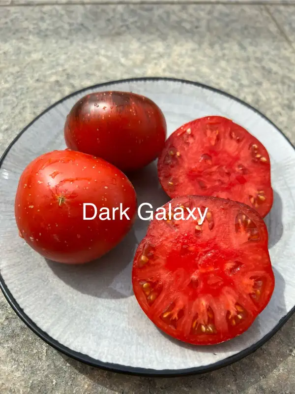 Tomaten: Dark Galaxy