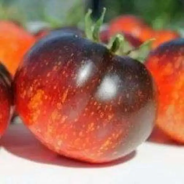 Tomaten: Dark Galaxy