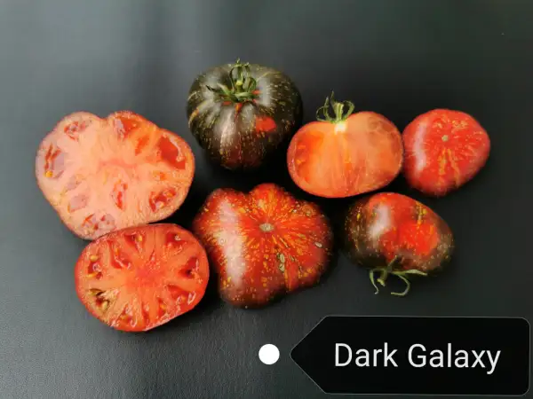Tomaten: Dark Galaxy