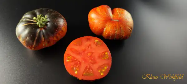 Tomaten: Dark Galaxy