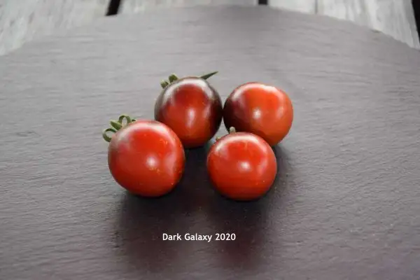 Tomaten: Dark Galaxy