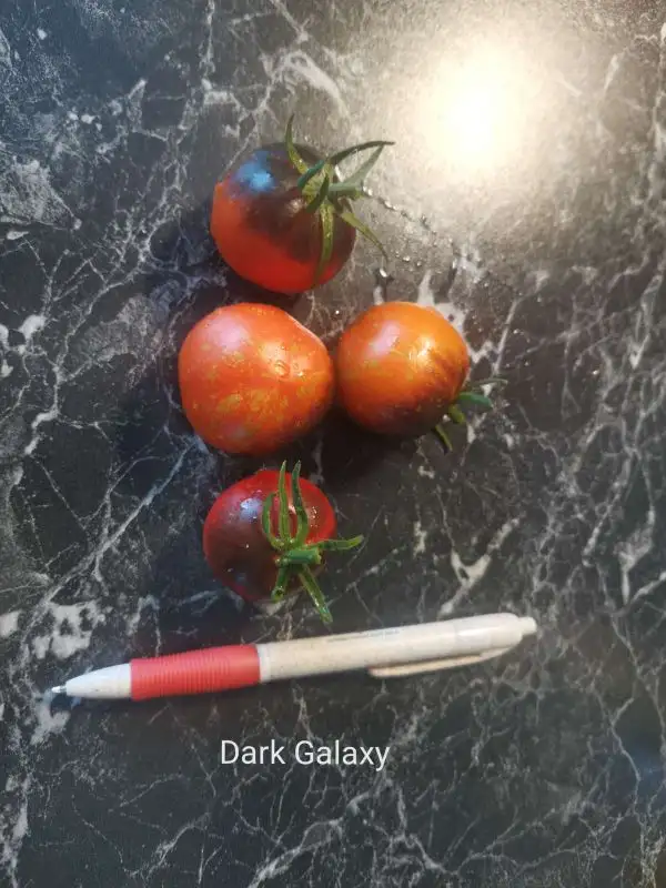 Tomaten: Dark Galaxy