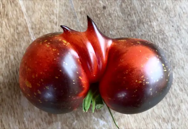 Tomaten: Dark Galaxy