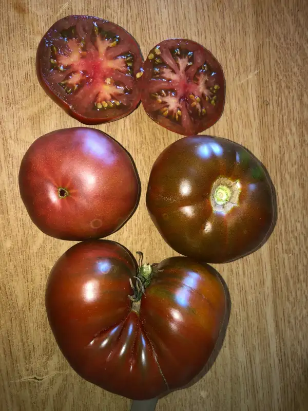 Tomaten: Dark Italian