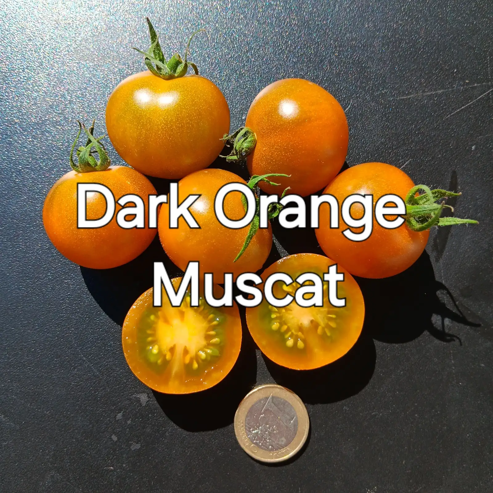 Tomaten: Dark Orange Muscat