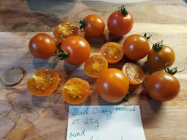 Tomaten: Dark Orange Muscat