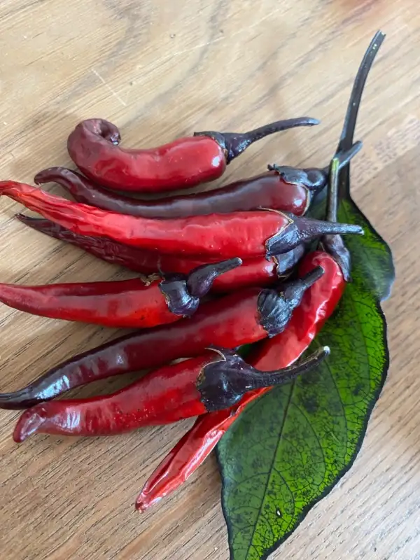 Chili / Paprika: Dark Rios De Lavas