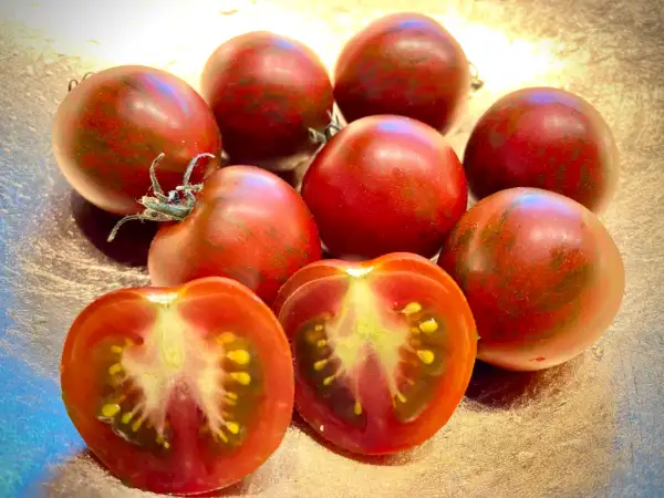 Tomaten: Dark Striped Micro Dwarf