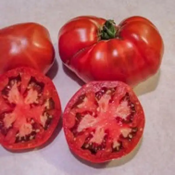 Tomaten: Dark Sunburst