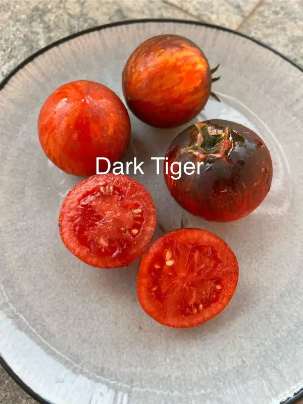 Tomaten: Dark Tiger