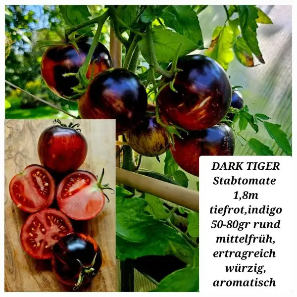 Tomaten: Dark Tiger