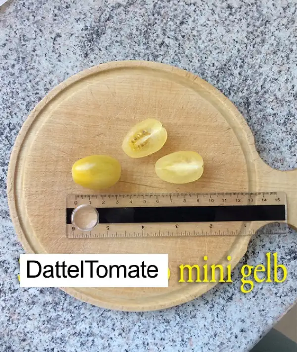 Tomaten: Dattel mini gelb