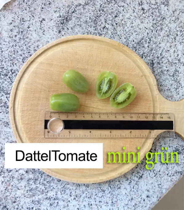 Tomaten: Dattel mini grün