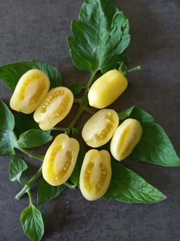 Tomaten: Dattelcreme