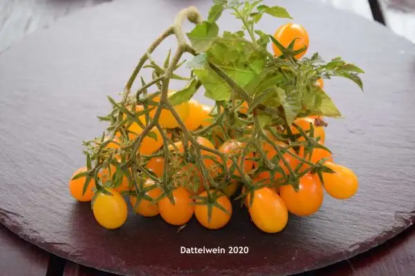 Tomaten: Dattelwein