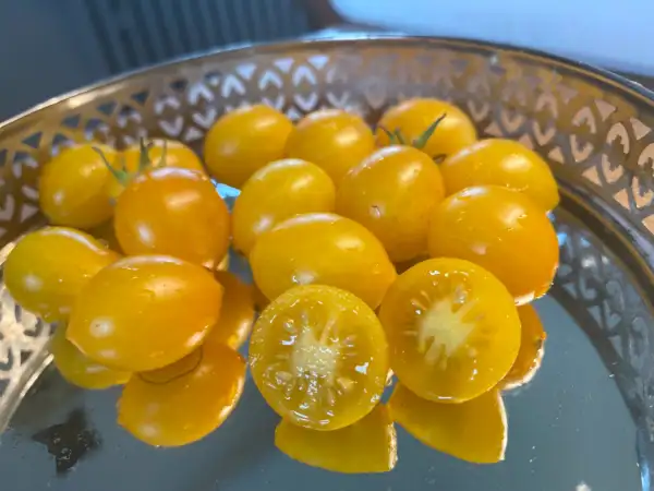 Tomaten: Dattelwein