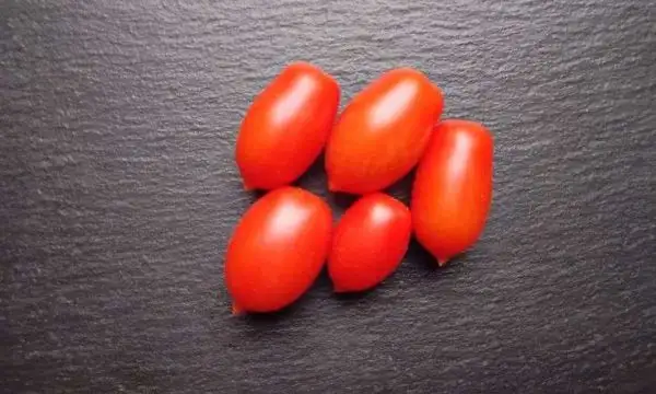 Tomaten: Datterino