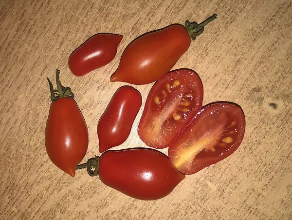 Tomaten: Datterino di Pachino