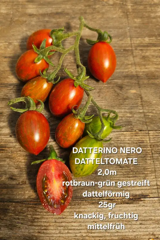 Tomaten: Datterino Nero
