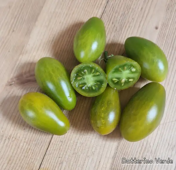 Tomaten: Datterino Verde