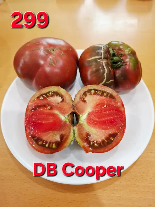 Tomaten: DB Cooper