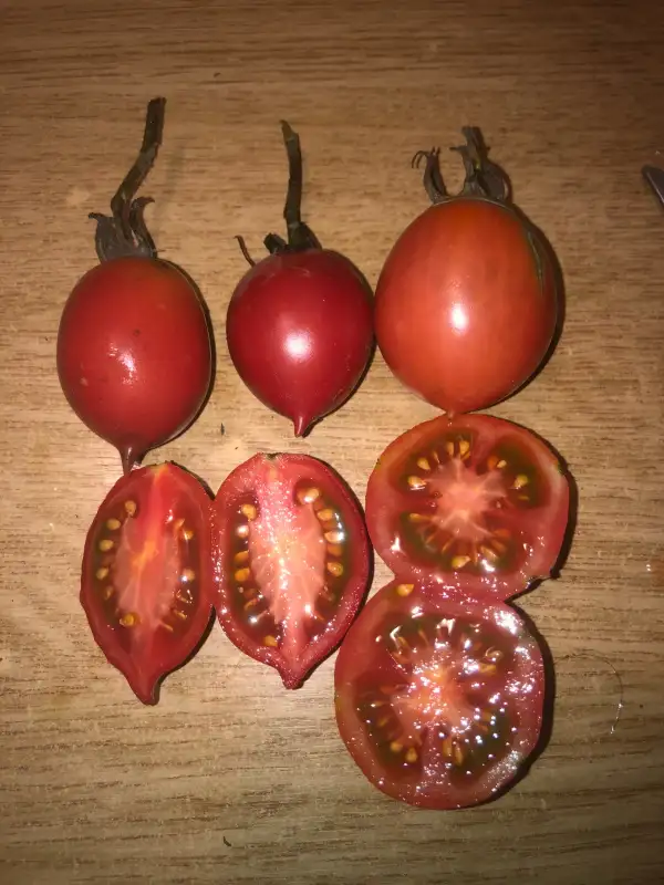 Tomaten: De Barao Tsarskij