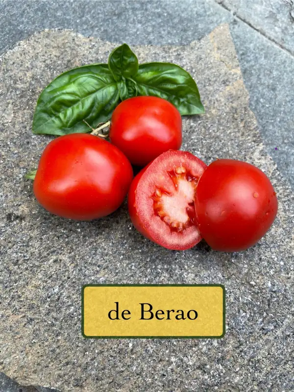 Tomaten: De Berao