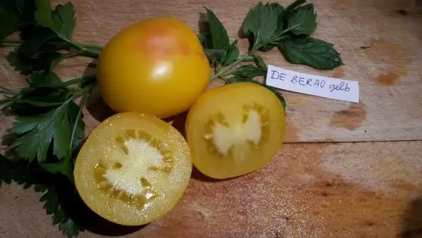 Tomaten: De Berao Gelb