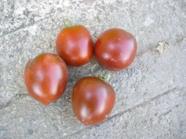 Tomaten: De Berao Noire