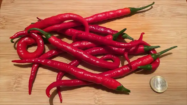 Chili: De Cayenne