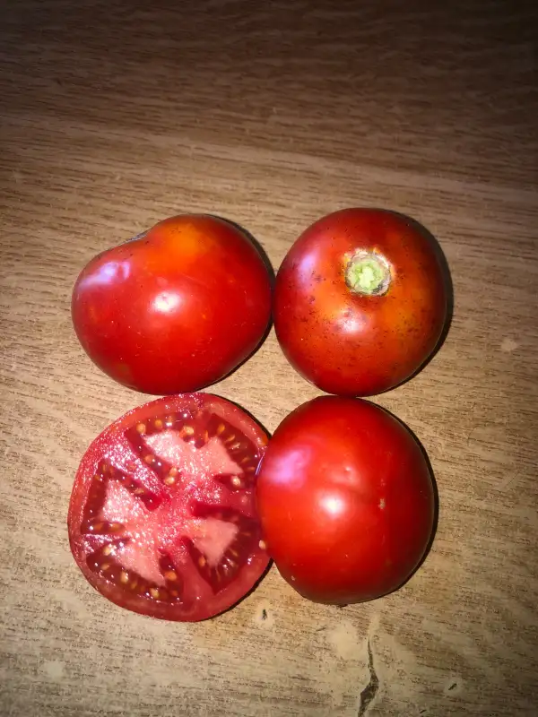 Tomaten: De Cheveres