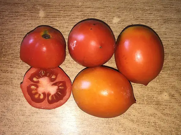 Tomaten: De Cuelga de Jerez de La Frontera