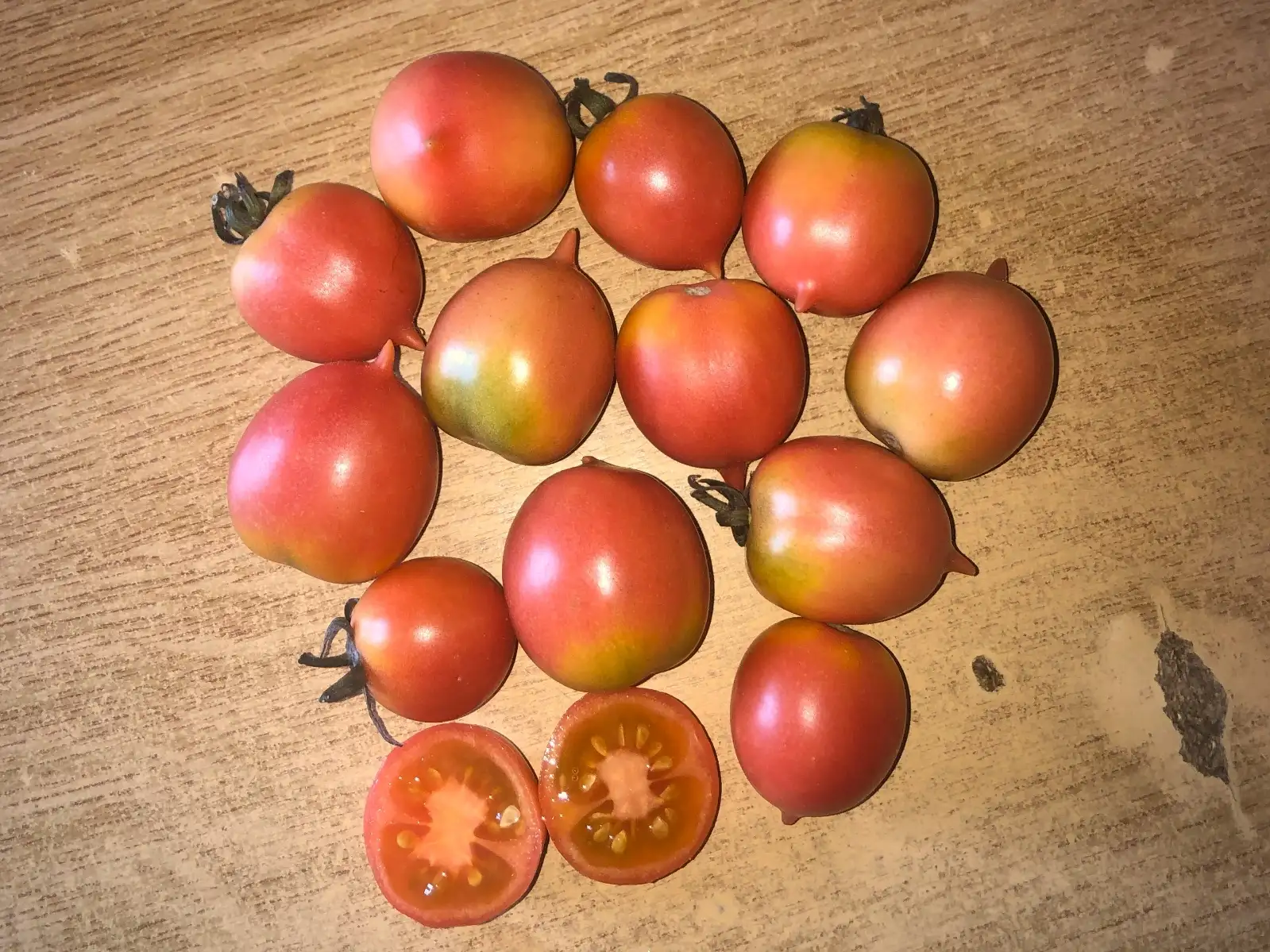 Tomaten: De Lágrima de Albesa