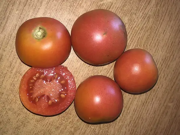 Tomaten: De Penjar d