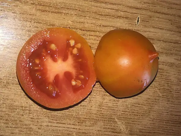Tomaten: De Pincho Grande de Artesa de Segre