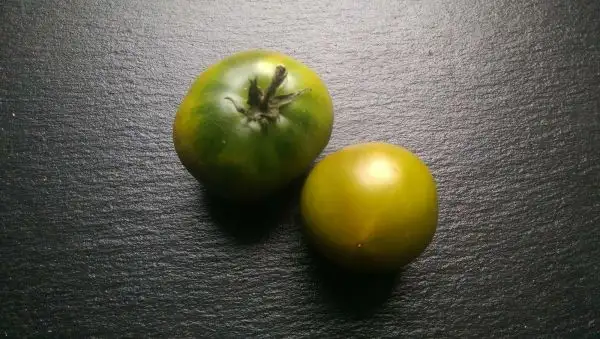 Tomaten: Dean’s Green Dwarf