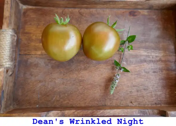 Tomaten: Dean’s Winkled Night