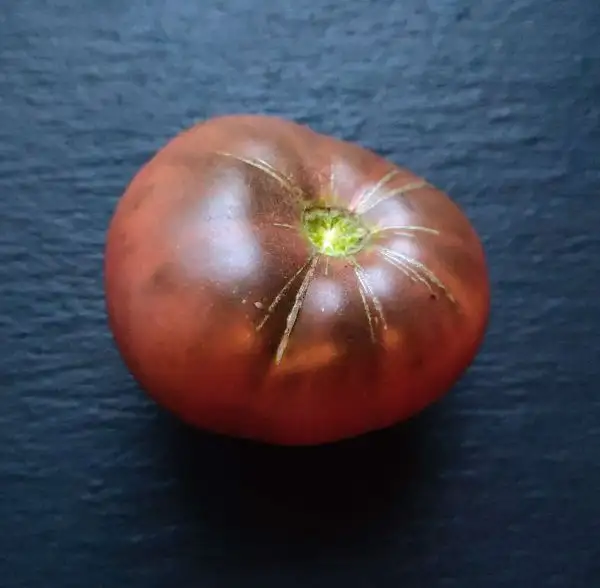 Tomaten: Dean’s Wrinkled Night