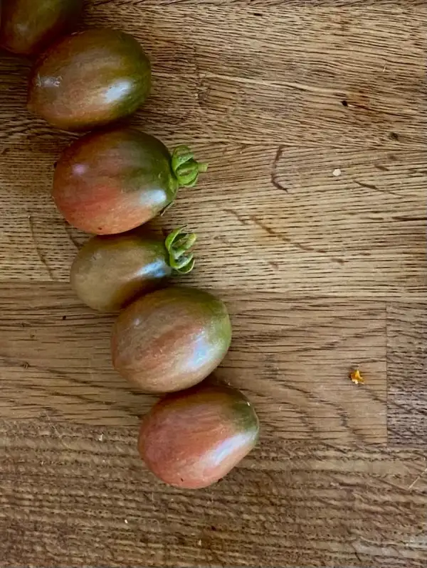 Tomaten: Deans Wicked Plum
