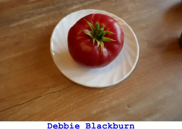Tomaten: Debbie Blackburn